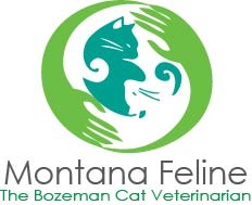 Montana Feline  entry by Junar