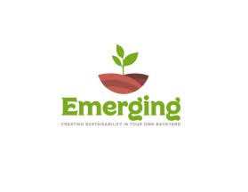 Emerging Inc entry by tzandarik