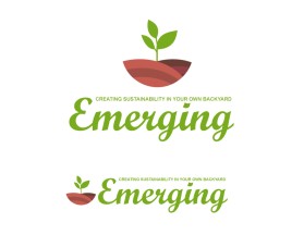 Emerging Inc entry by tzandarik