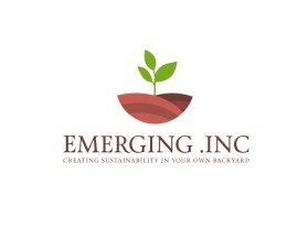 Emerging Inc entry by tzandarik