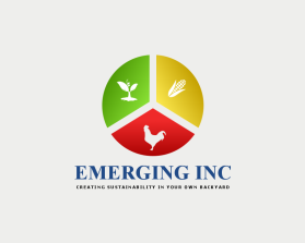 Emerging Inc entry by @yusuf