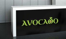 Avocado  entry by haseeb