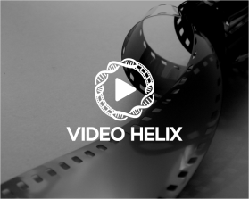 Video Helix entry by Habib