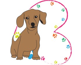 Husker's Hope Dachshund Rescue entry by not2shabby