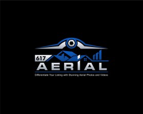 617Aerial entry by Nirajbhai Morarbhai Dhimmar
