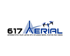 617Aerial entry by inayatul amilati