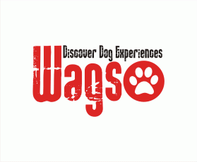 wagso entry by Ahmad Sanusi