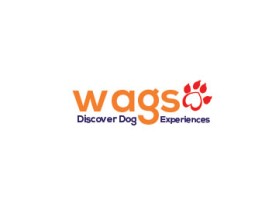 wagso entry by Junar