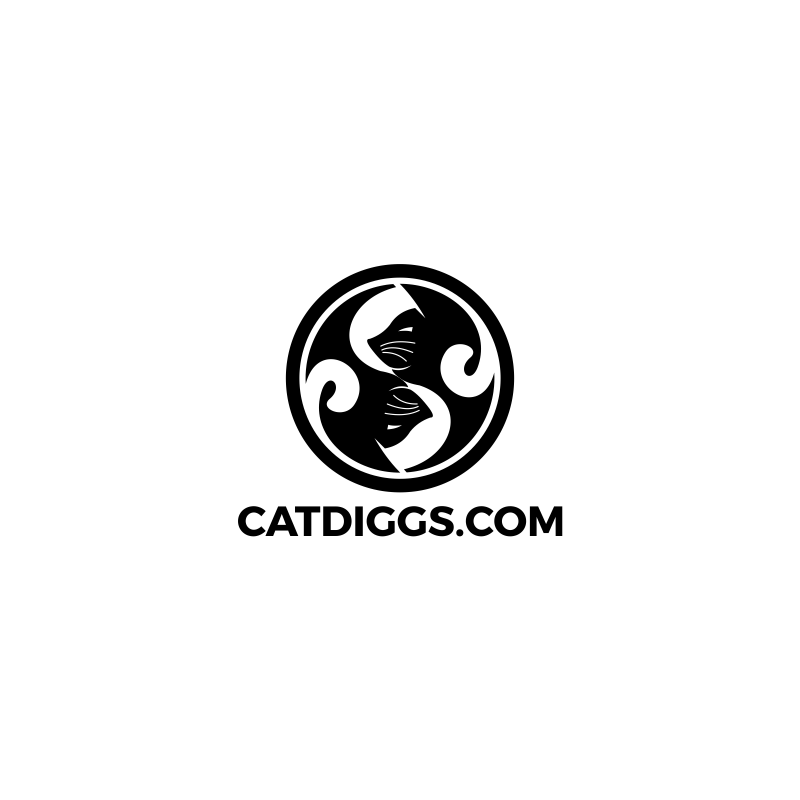 portfolio-img