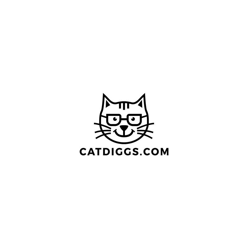 portfolio-img