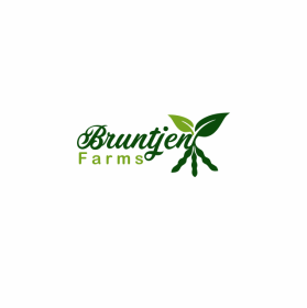 Bruntjen Farms entry by tasyarin
