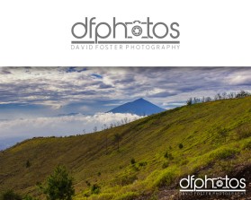 dfphotos.com entry by KENJI21