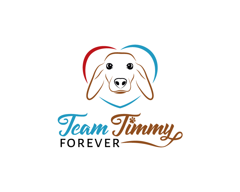 Logo Design for Team Timmy Forever