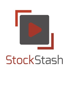 stockstash entry by dogyer