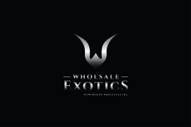 Wholesale Exotics  entry by senimanmelayu