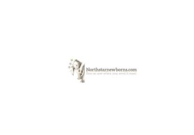 Northstarnewborns.com entry by Animman