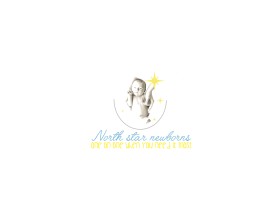 Northstarnewborns.com entry by beatrizazevedo