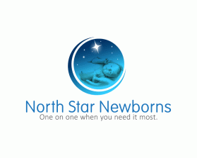 Northstarnewborns.com entry by dsdezign