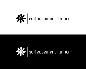 S&eacute;rieusement Kamer  entry by nsdhyd