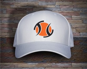Tiger Tennis entry by tina_t