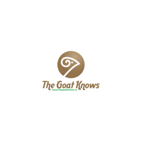 www.thegoatknows.co entry by Selly Bachir