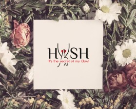 HUSH entry by Amit1991