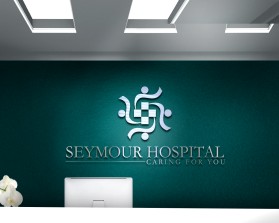Seymour Hospital entry by KENJI21