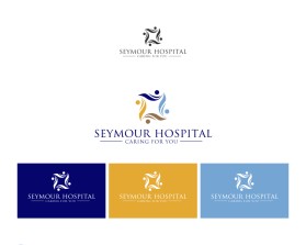 Seymour Hospital entry by graphite