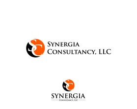 Synergia Consultancy LLC entry by shanks