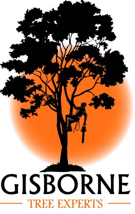 Gisbornetreeexperts.co.nz entry by wedus gembel