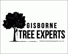 Gisbornetreeexperts.co.nz entry by jellareed