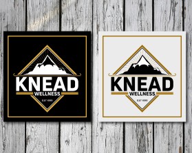 Knead Wellness entry by MANAN SANKHLA