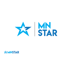 MNStar Insurance  entry by tan.design14