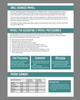 AccuPay, Inc entry by Dazdesigns
