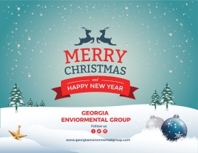 Georgia Environmental Group entry by saima4583
