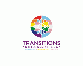 Transitions Delaware llc entry by Tina Takač