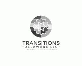 Transitions Delaware llc entry by Tina Takač