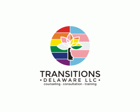 Transitions Delaware llc entry by Tina Takač