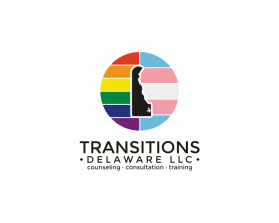 Transitions Delaware llc entry by Tina Takač