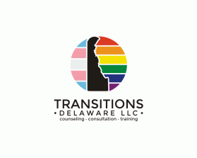 Transitions Delaware llc entry by Tina Takač