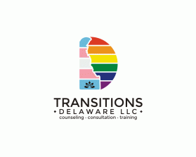 Transitions Delaware llc entry by Tina Takač