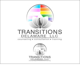 Transitions Delaware llc entry by Marek Benovic