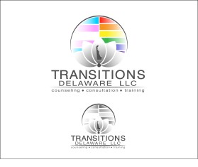 Transitions Delaware llc entry by Marek Benovic