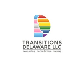 Transitions Delaware llc entry by Tina Takač