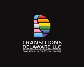 Transitions Delaware llc entry by Tina Takač