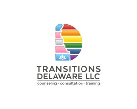 Transitions Delaware llc entry by Tina Takač