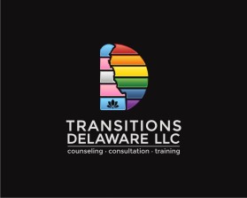 Transitions Delaware llc entry by Tina Takač