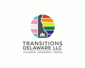 Transitions Delaware llc entry by Tina Takač