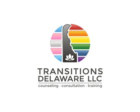 Transitions Delaware llc entry by Tina Takač