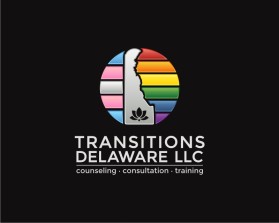 Transitions Delaware llc entry by Tina Takač